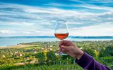 Weingenuss am Balaton