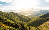 Douro Tal 