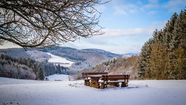Winter in the Eifel forests,Germany