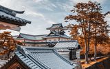 Kanazawa Schloss Marcel Bisig
