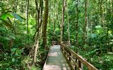 Daintree Nationalpark