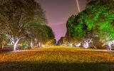 Londoner Königliche Botanische Gärten von Kew zur Weihnachtszeit