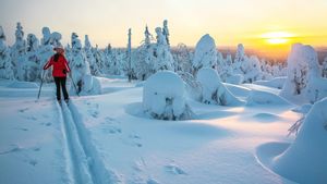 Langlauf in Lappland