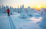 Langlauf in Lappland