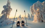 Winterlandschaft mit Schneeschuhen