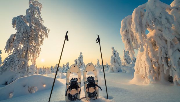 Winterlandschaft mit Schneeschuhen