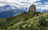 Schynige Platte