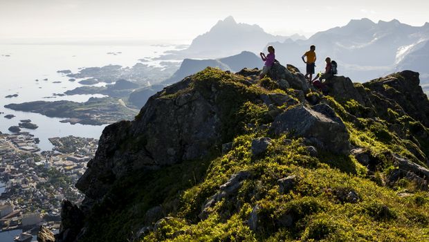 Berge und Pflanzenwelt auf den Lofoten