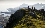 Berge und Pflanzenwelt auf den Lofoten