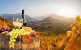 Genuss in der Wachau