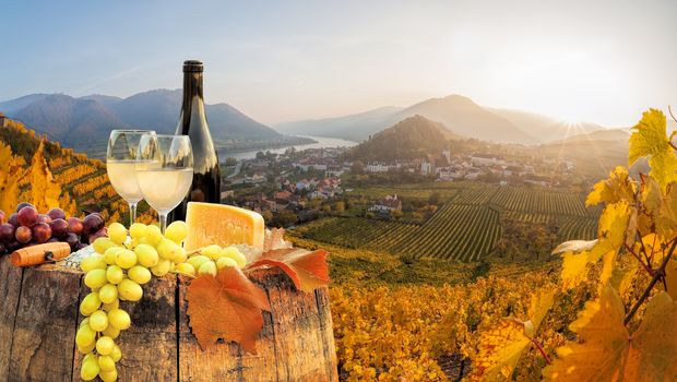 Genuss in der Wachau