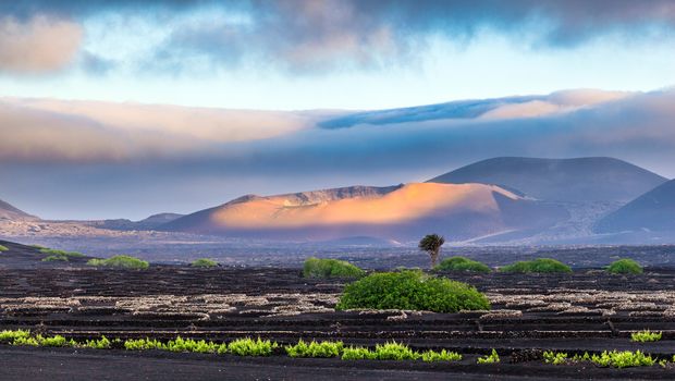 Stimmungsvolle Insel Lanzarote