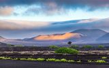 Stimmungsvolle Insel Lanzarote