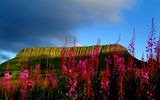 Tafelberg Ben Bulben, Sligo Bay