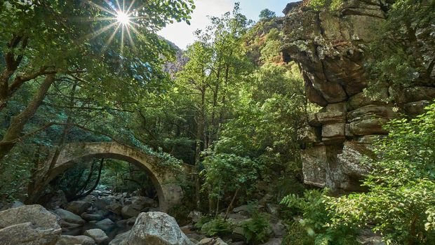 Schlucht von Spelunca auf Korsika