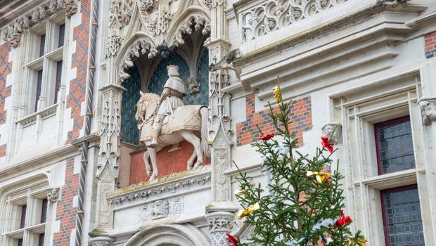 Chateau de Blois