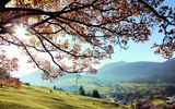 Kleinwalsertal mit Blick Ifen