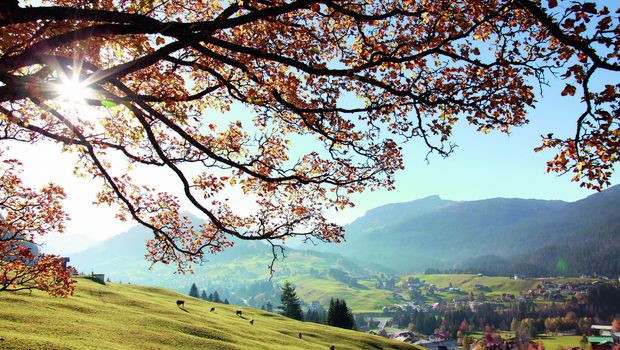 Kleinwalsertal mit Blick Ifen