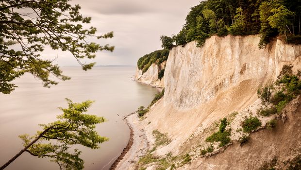 Sassnitz, Nationalpark Jasmund mit Kreidefelsen