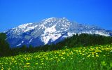 Mariazeller Land, Oetscher