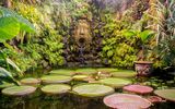 Ischia Forio Garten La Mortella, Victoria-Gewächshaus