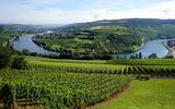 Moseltal zwischen Deutschland und Luxemburg