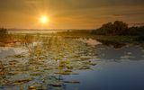 Nationalpark Donaudelta