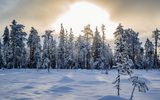 Lappland Landschaft bei Pyhä