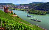 Burg Ehrenfels in Rüdesheim am Rhein