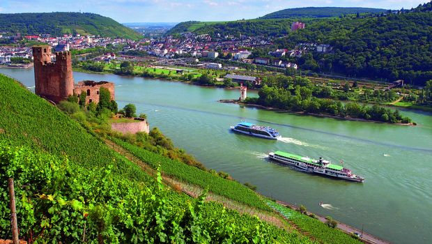Burg Ehrenfels in Rüdesheim am Rhein