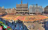Brüssels Blumenteppich