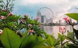 Blick auf Singapur