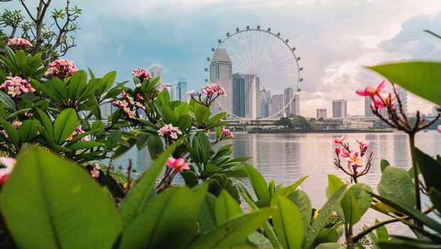 Blick auf Singapur