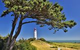 Leuchtturm auf Hiddensee