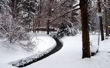 Parkgelände