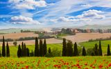 Landschaft mit Mohnblumen