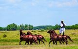  Reiter und Pferde in der Puszta