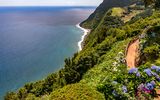 Aussicht von einem Miradouro auf Sao Miguel mit Blick auf Meer, Steilküste und bunte Hortensien
