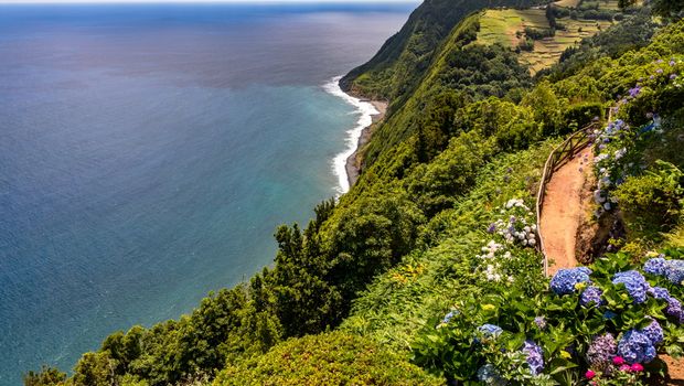 Aussicht von einem Miradouro auf Sao Miguel mit Blick auf Meer, Steilküste und bunte Hortensien