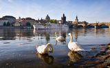 Prag