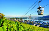 Weinberge in Rüdesheim am Rhein