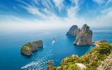 Möwe düst über Capri
