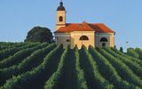 Weinberge