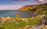 Murlough Bay