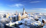 Panoramablick auf die Altstadt von Tallinn und die St. Olafs Kirche mit Festungstürmen