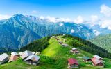 Pokut