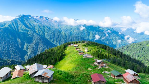 Pokut