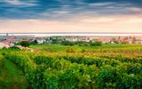 Burgenland Landschaft