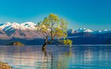 Lake Wanaka