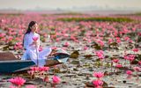 Frau im vietnamesischen Blütenmeer